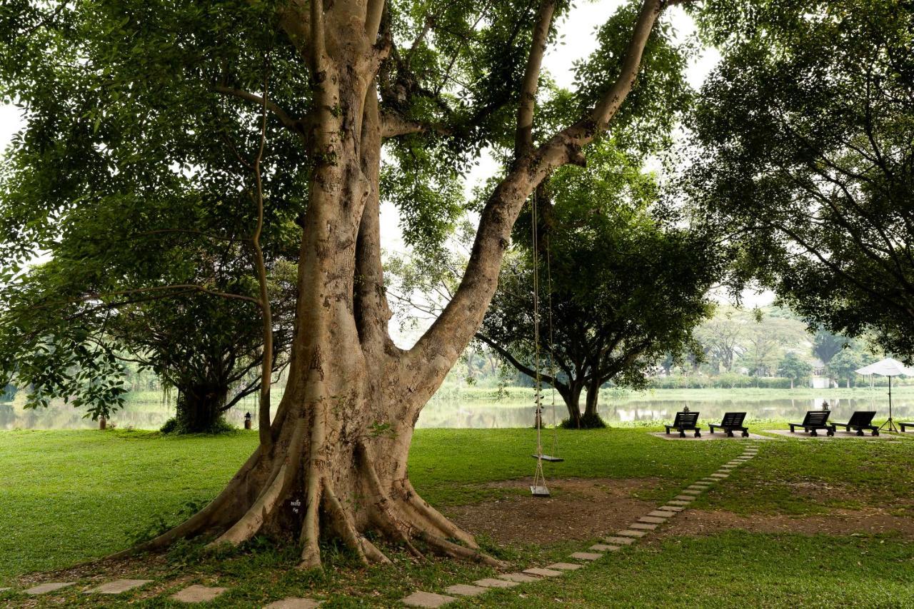 The Legend Chiang Rai Boutique River Resort & Spa Εξωτερικό φωτογραφία